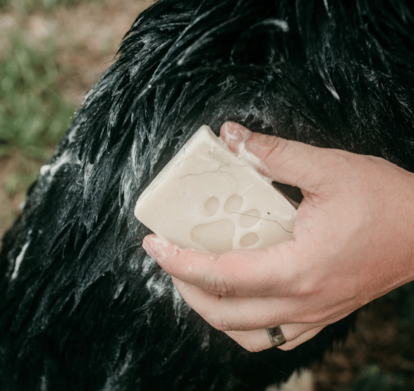 Suds & Co. Pet Shampoo Bar